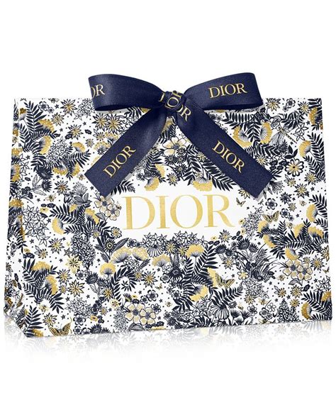 dior holiday gift bag